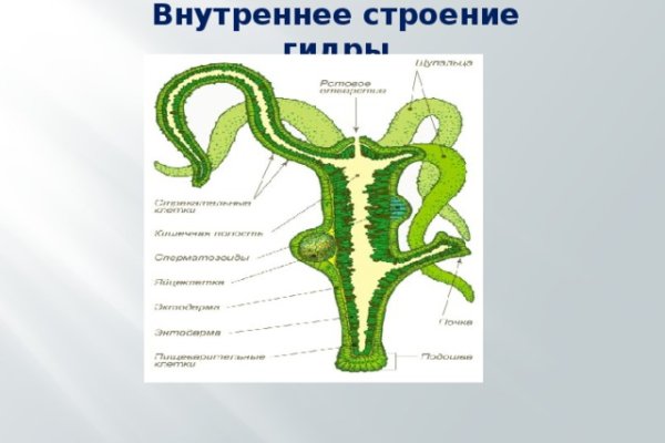 Кракен даркнет площадка