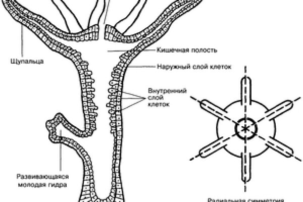 Кракен купить наркоту