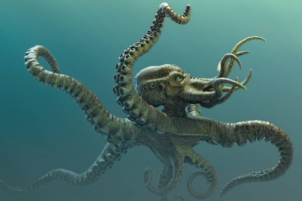 Kraken официальная ссылка